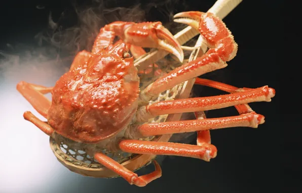 Picture crab, spoon, boiled