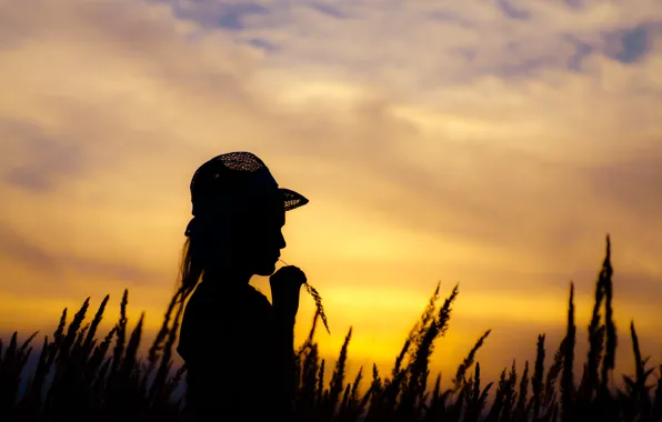 Field, the sky, sunset, the evening, hat, girl, child