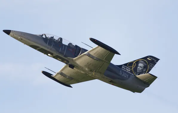 Flight, fighter, Aero, Albatros, L-39CM