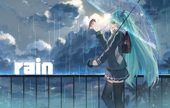 Picture the sky, girl, clouds, the city, rain, home, umbrella, anime