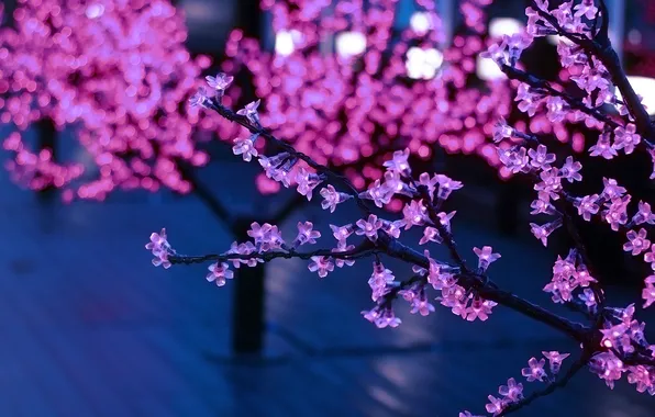 Picture light, branches, tree, pink, lights, light bulb
