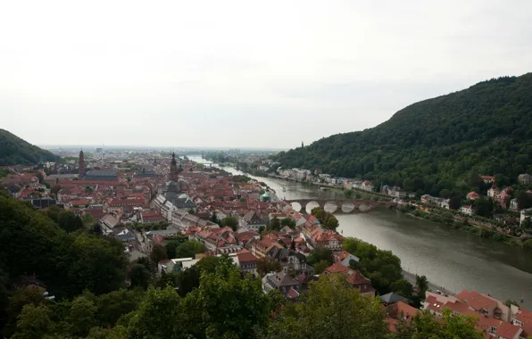 Picture Home, Bridge, River, Germany, Panorama, Roof, Building, Bridge