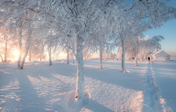 Picture winter, snow, trees, house, Perm Krai
