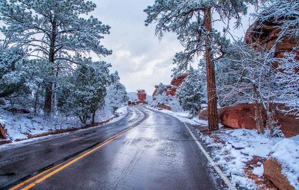 Winter, frost, road, snow, trees, branches, nature, the way