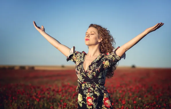 Picture summer, girl, flowers, Alba