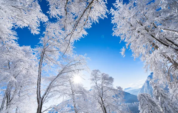 Picture winter, frost, the sky, trees, mountains, Austria, Alps