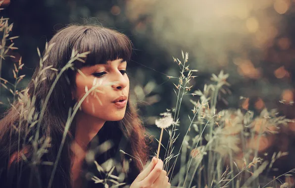 Picture girl, dandelion, spikelets, brown hair
