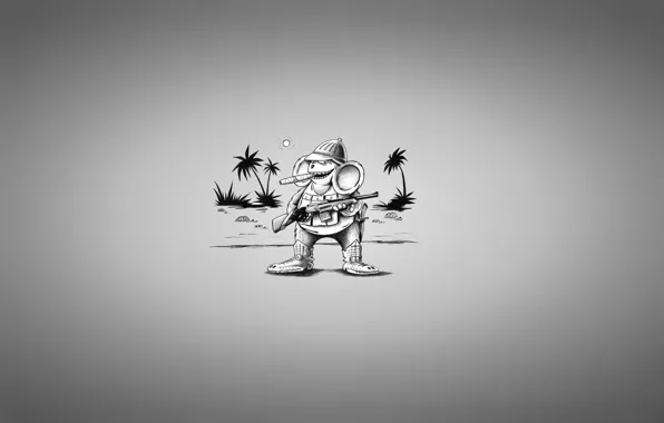 Water, the sun, palm trees, weapons, clothing, crocodiles, the gun, Cheburashka