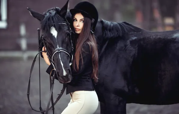 Picture girl, horse, black, horse, makeup, figure, hairstyle, brown hair