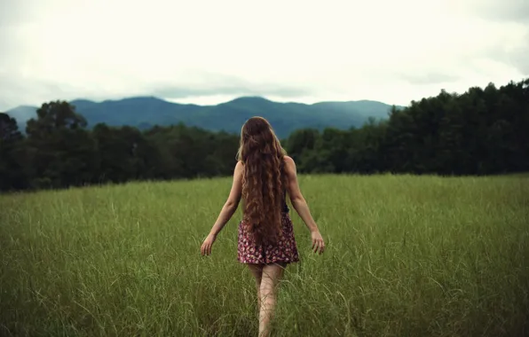 Field, grass, girl, Free, curls, NoelleBuske