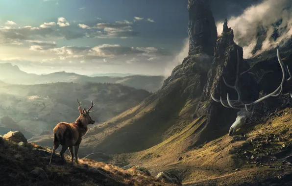 Picture the sky, clouds, mountains, stones, rocks, deer, valley, the remains