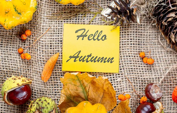 Picture autumn, leaves, berries, the inscription, pumpkin, bumps, chestnuts
