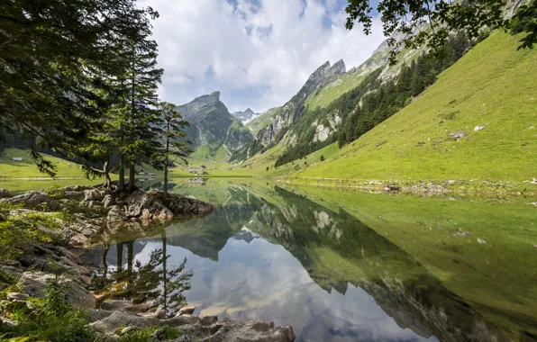 Forest, mountains, nature, lake, Alps