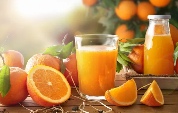 Glass, oranges, juice, slices, orange