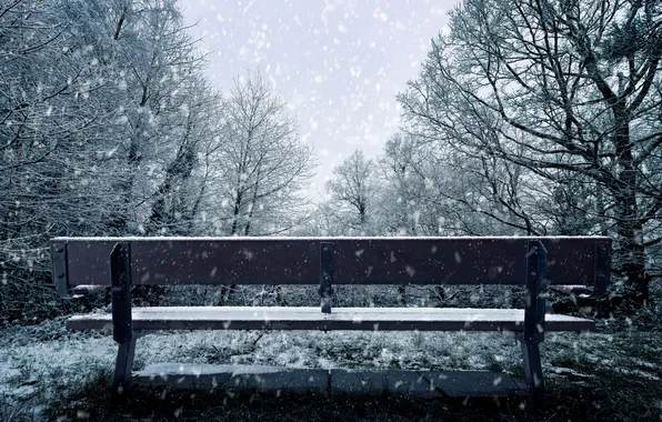 Winter, snow, bench