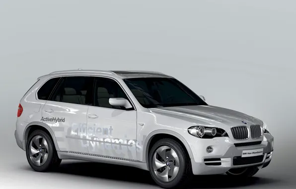 BMW, hybrid, crossover, X5