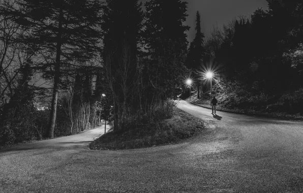 Road, trees, night, back, male, walking, lampposts