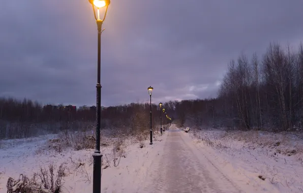 Road, autumn, the sky, snow, trees, clouds, lights, Moscow