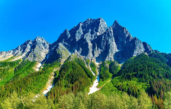 Picture the sky, trees, mountains, rocks, beauty, space, top, sky