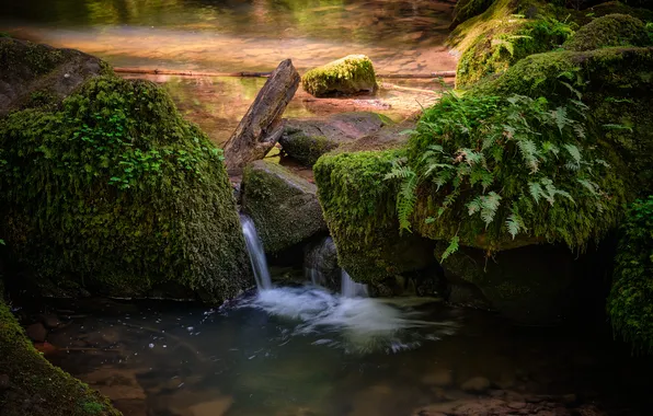 Nature, stream, stones, moss