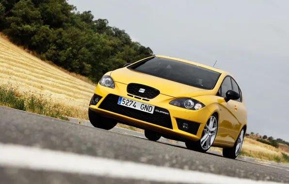 Leon, Seat, cupra