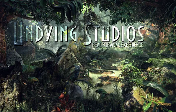 Unreal Engine 4, Survival, Undying Studios, Life After Death, Game Development