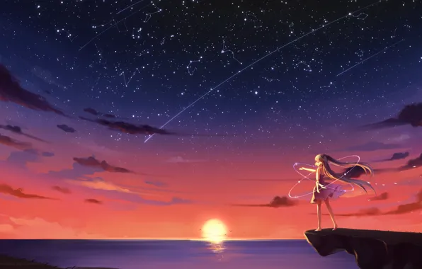 Picture the sky, girl, the sun, stars, clouds, sunset, seagulls, anime