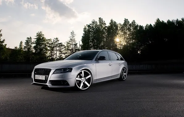 Picture the sun, trees, Audi, Audi, tuning, tuning, universal