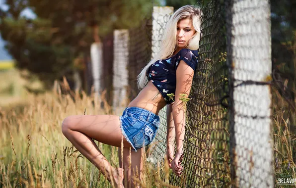 Picture grass, the sun, trees, sexy, pose, model, the fence, shorts