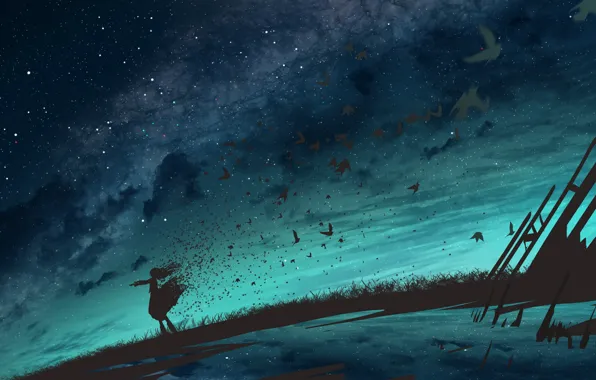 Picture girl, night, bird