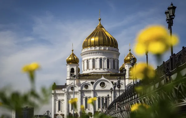 The sky, flowers, the city, blue, the fence, yellow, the fence, Church
