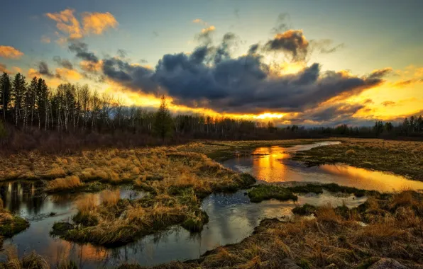 Grass, water, clouds, sunset, stream