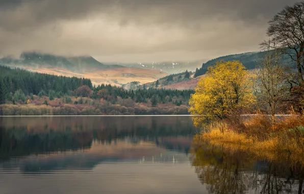 Autumn, forest, the sky, trees, mountains, clouds, lake, reflection