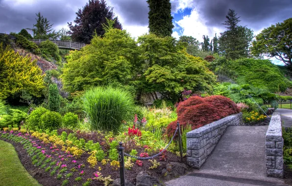 Picture the sky, grass, clouds, trees, flowers, nature, pond, Park