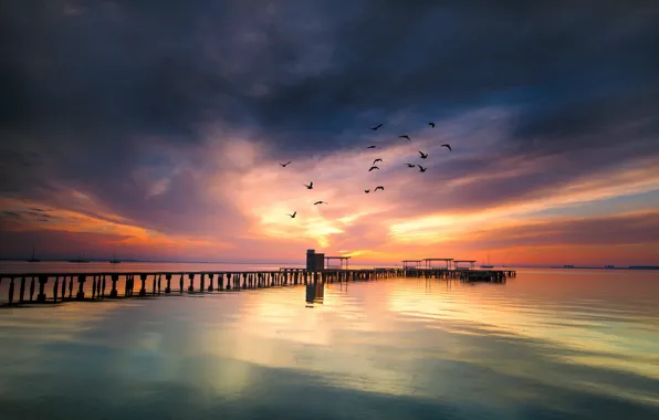 Picture sea, sunset, birds, bridge