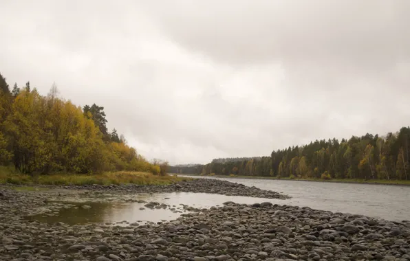 Autumn, river, rain, Altay, Biya