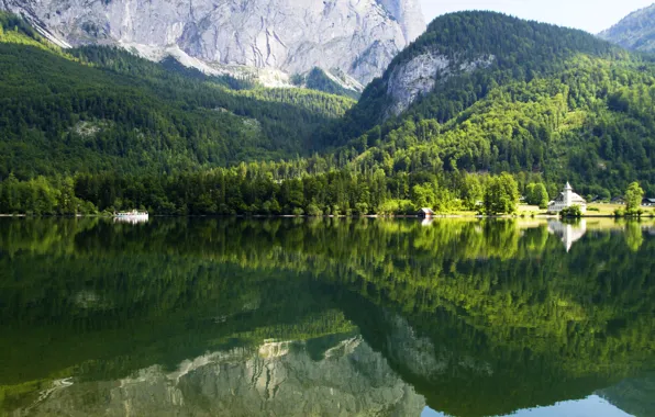 Forest, trees, mountains, lake, reflection, rocks, Austria, Gruner