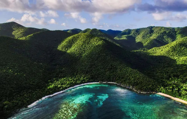 Picture forest, sea, landscape, coast, nature, clouds, bay, coral