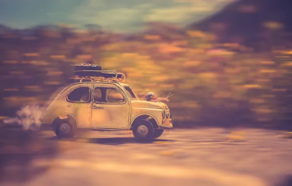Picture machine, riding, snail