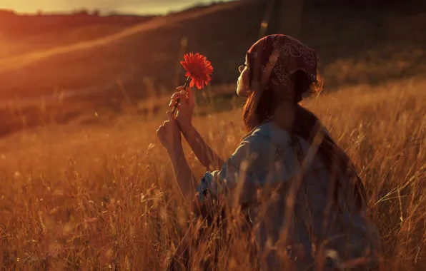 Picture field, girl, the sun, flowers, Milenko Dilas