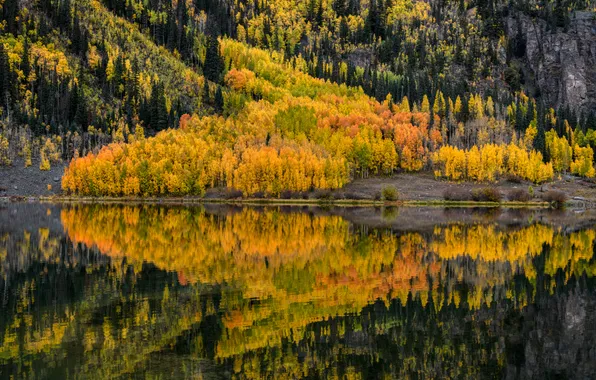 Autumn, forest, mountains, fog, lake, reflection, shore, view