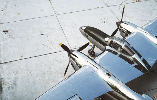 Plate, the plane, the view from the top, P-38 Lightning