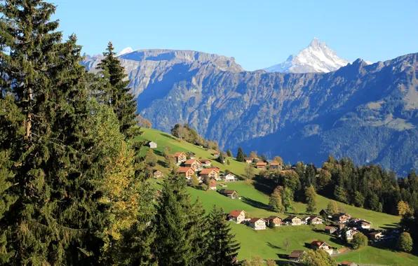 Trees, mountains, field, home, Switzerland, slope, Beatenberg