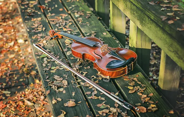 Picture music, violin, bench