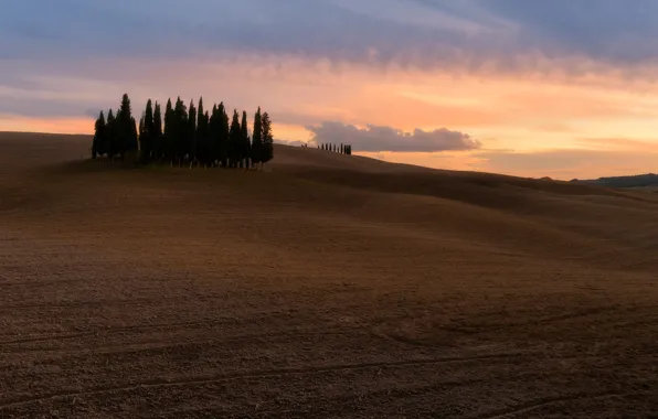 Field, the sky, clouds, trees, nature, hills, space, Italy