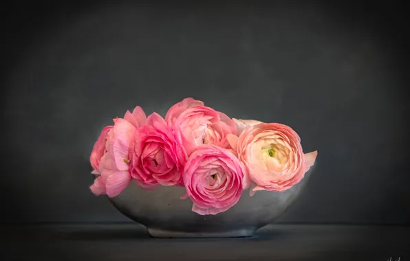 Flowers, background, bouquet, bowl, Rotterdam