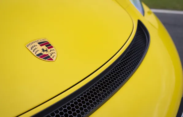 Porsche, The hood, Cayman, Icon, GT4, 2019, Porsche 718 (982) Cayman GT4