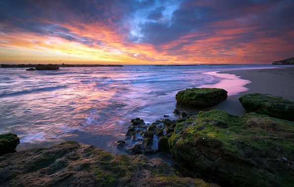 Sea, landscape, sunset