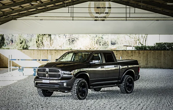 Dodge, pickup, Ram, 2017, double cab, 1500 RX Crew Cab, Soldier