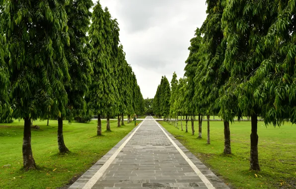 Greens, grass, trees, Park, Indonesia, track, the sidewalk, Bali